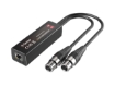 Picture of DANTE 2-CHANNEL XLR INPUT ADAPTER